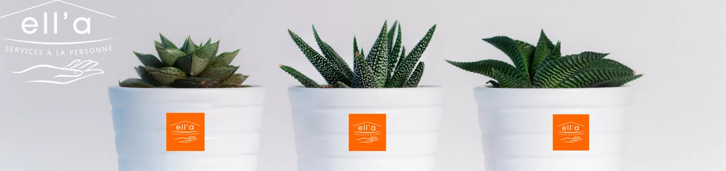 Ecologie et produits naturels - Ell'a Services