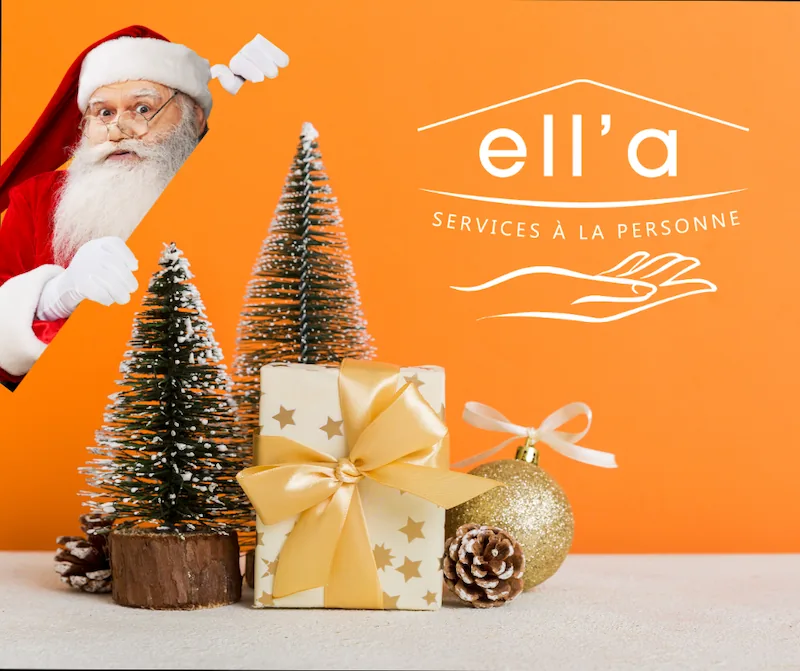 Credit d'impot et services declares - Ell'a Services
